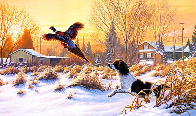 Diamond Painting 5D DIY Full Round Peacock Wolf Swan Diamond Embroidery Mosaic Animal Picture Cross Stitch Home Decoration Art