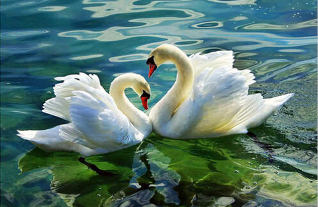 Diamond Painting 5D DIY Full Round Peacock Wolf Swan Diamond Embroidery Mosaic Animal Picture Cross Stitch Home Decoration Art