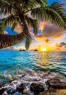 DIY 5D Diamond Painting Landscape Sunset Cross Stitch Kit Full Square Embroidery Scenery Mosaic Art Picture of Rhinestones Decor