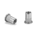 NINDEJIN 4-60pcs flat head rivet nut stainless steel m3 m4 m5 m6 m8 m10 m12 rivnut zinc plated cap rivet threaded nut