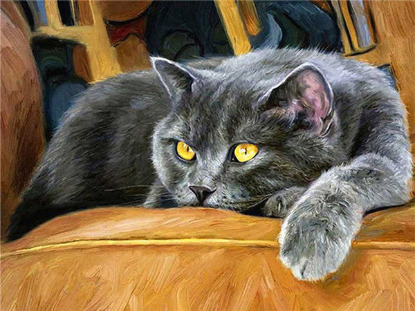 5D DIY Diamond Painting Full Round Cat Dog Picture Diamond Embroidery Mosaic Animals Pattern Cross Stitch Home Decoration Gift