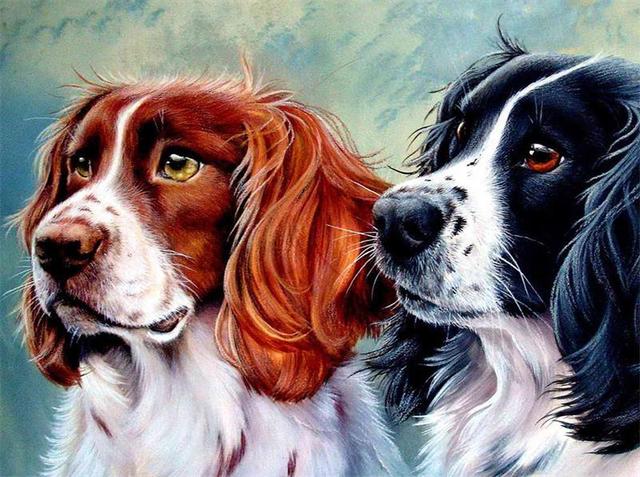 5D DIY Diamond Painting Full Round Cat Dog Picture Diamond Embroidery Mosaic Animals Pattern Cross Stitch Home Decoration Gift