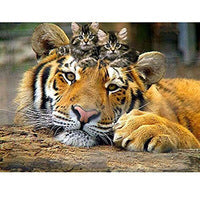 5D DIY Diamond Painting Full Round Cat Dog Picture Diamond Embroidery Mosaic Animals Pattern Cross Stitch Home Decoration Gift