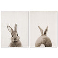 Rabbit Bunny Butt Tail Canvas Art Poster Woodland Baby Animal Nursery Print Painting Wall Picture for Living Room Decor JadeMoghul Inc. 
