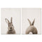 Rabbit Bunny Butt Tail Canvas Art Poster Woodland Baby Animal Nursery Print Painting Wall Picture for Living Room Decor JadeMoghul Inc. 