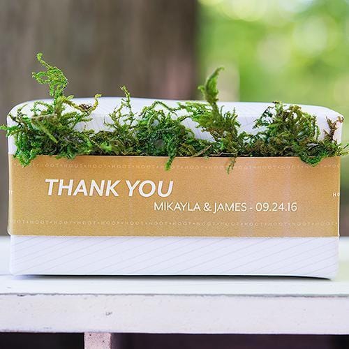 Roll of Faux Moss Ribbon (Pack of 1)-Table Top Décor-JadeMoghul Inc.