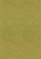 Rugs Accent Rugs - 47" x 6 x 1.2" Lime Olefin Accent Rug HomeRoots