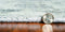 Rugs All Modern Rugs - 108" X 156" X 0.'25" Grey Viscose Rug HomeRoots