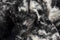 Rugs Black and White Rug - 0.8" x 60" x 51" Acrylic Plush, Polyester S&P Black White Rug HomeRoots