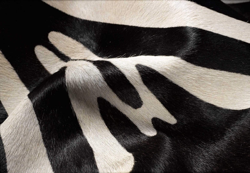 Rugs Black Area Rugs - 60" x 84" Zebra Black On Off White Cowhide - Area Rug HomeRoots