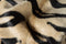 Rugs Black Area Rugs - 72" x 84" Tiger Black on Natural, Cowhide - Rug HomeRoots