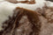 Rugs Brown Rug - 51" x 60" Brown & White, Faux Hide - Area Rug HomeRoots