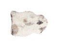 Rugs Cow Skin Rug - 24" x 36" x 1.5" x 2" Spotted Sheepskin Single Short-Haired - Area Rug HomeRoots