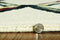 Rugs Gold Area Rugs - 27" X 96" X 0.'5" Cream/Gold Wool / Viscose Rug HomeRoots