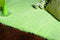 Rugs Green Rug - 8' x 11' Polyester Spearmint Green Area Rug HomeRoots