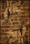 Rugs Home Decorators Collection Rugs 22" x 32" x 0.47" Toffee Polypropylene Accent Rug 8926 HomeRoots