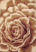 Rugs Ivory Shag Rug 2'3" x 3'3" Polypropylene Ivory Area Rug 3291 HomeRoots