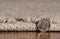 Rugs Jute Rug - 60" X 96" X 0.'5" Grey Jute Rug HomeRoots