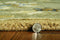 Rugs Living Room Rugs - 3'3" x 5'3" Wool Grey Area Rug HomeRoots