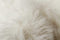 Rugs Off White Rug - 63" x 90" Off White, Arlington Circular, Faux Fur - Area Rug HomeRoots
