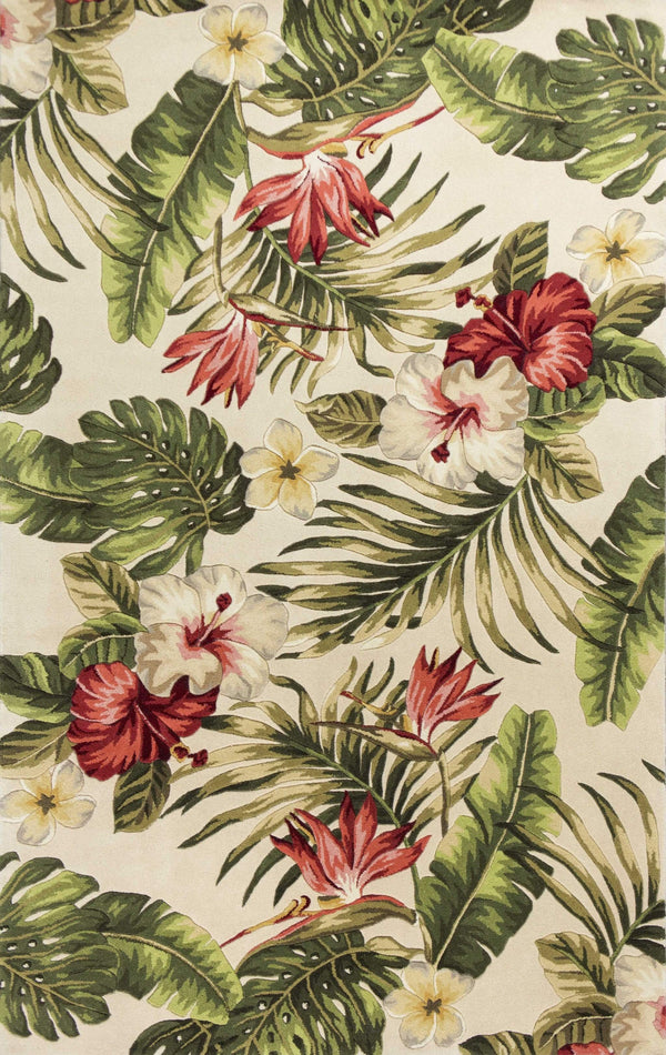 Rugs Rugs For Sale 3'3" x 5'3" Wool Ivory Area Rug 2704 HomeRoots