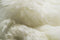 Rugs White Area Rug - 24" x 36" x 2" White Sheepskin Single Short-Haired - Area Rug HomeRoots