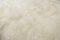 Rugs White Area Rug - 48" x 72" x 2" White Sheepskin Long-Haired - Area Rug HomeRoots