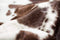 Rugs White Area Rug - 72" x 84" Brown/White, Cowhide - Rug HomeRoots