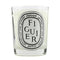 Scented Candle - Figuier (Fig Tree) - 190g-6.5oz-Home Scent-JadeMoghul Inc.