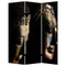 Screens Front Screen Doors - 1" x 48" x 72" Multi-Color, Wood, Canvas, Budda - Screen HomeRoots