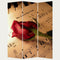 Screens Front Screen Doors - 1" x 48" x 72" Multi-Color, Wood, Canvas, Music - Screen HomeRoots