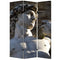 Screens Front Screen Doors - 1" x 48" x 72" Multi-Color, Wood, Canvas, Rome - Screen HomeRoots