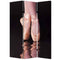 Screens Home Screen - 1" x 48" x 72" Multi-Color, Wood Canvas, Ballet - Screen HomeRoots