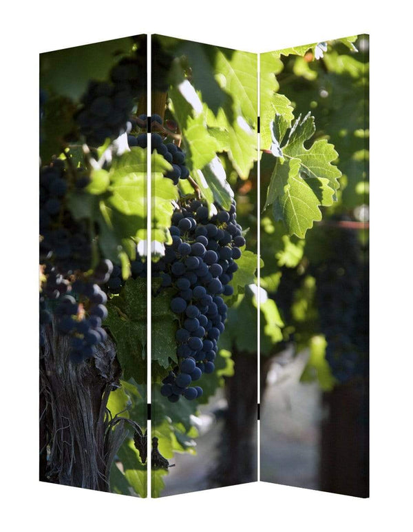 Screens Home Screen - 1" x 48" x 72" Multi-Color, Wood, Canvas, Wine Country - Screen HomeRoots