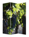 Screens Home Screen - 1" x 48" x 72" Multi-Color, Wood, Canvas, Wine Country - Screen HomeRoots