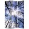 Screens Outdoor Privacy Screen - 1" x 48" x 72" Multi-Color, Wood, Canvas, Forest - Screen HomeRoots