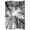Screens Outdoor Privacy Screen - 1" x 48" x 72" Multi-Color, Wood, Canvas, Forest - Screen HomeRoots