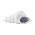 Sculptures Ceramic Sculpture - 8.1" X 3.6" X 3.3" Smooth White Ceramic Shell Sculpture HomeRoots