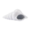Sculptures Ceramic Sculpture - 8.1" X 3.6" X 3.3" Smooth White Ceramic Shell Sculpture HomeRoots