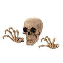 Home Decor Ideas Skeleton Wall Decor Set