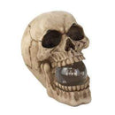 Seasonal Merchandise Living Room Decor Skull With Light Up Orb Koehler