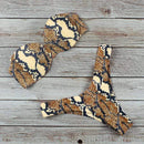 Sexy High Waist Bikini Swimwear Women Swimsuit 2020 Leopard Brazilian Bikini Set Push Up Bathing Suit Female Summer Beachwear L JadeMoghul Inc. 