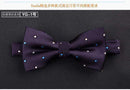 SHENNAIWEI High quality 2017 sale Formal commercial wedding butterfly cravat bowtie male marriage bow ties for men business lote AExp