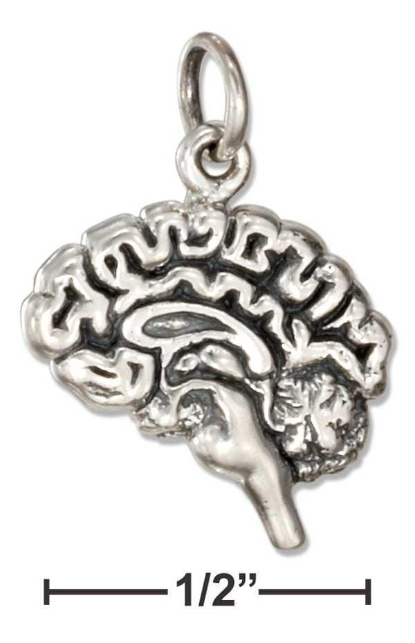 Silver Charms & Pendants Sterling Silver Charm:  Brain Charm JadeMoghul Inc.