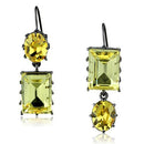 Crystal Drop Earrings TK2709 Stainless Steel Earrings with Crystal