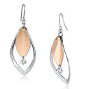 Gold Drop Earrings LO2684 Rose Gold + Rhodium Iron Earrings with CZ