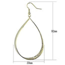 Gold Drop Earrings LO2721 Gold Iron Earrings