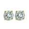 Gold Earrings TK1504 Gold - Stainless Steel Earrings with AAA Grade CZ