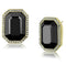 Gold Stud Earrings TK2378 Gold - Stainless Steel Earrings with Crystal in Hematite