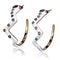 Silver Earrings Hoop Earrings TK2729 Coffee light Stainless Steel Earrings with Crystal Alamode Fashion Jewelry Outlet